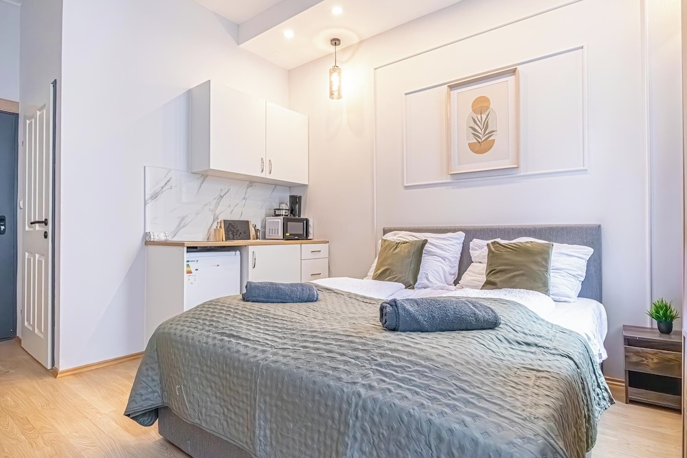 9BR Apts in the Heart of Vienna