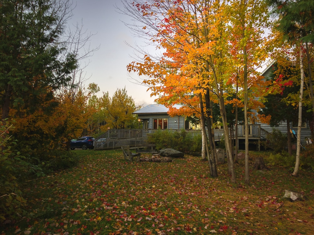 Photo 48
