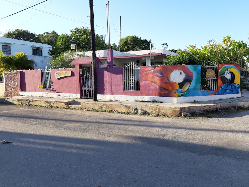 Hostal Guacamayas view 5