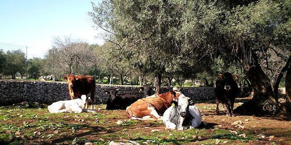 Fattoria Terra e Libertà