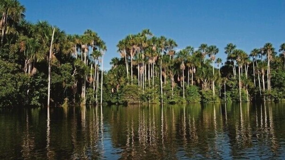 Amazon Lodge Tambopata
