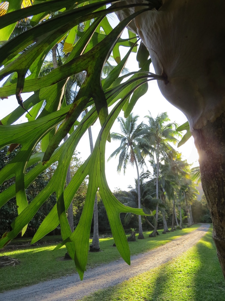 Cape Trib Farmstay