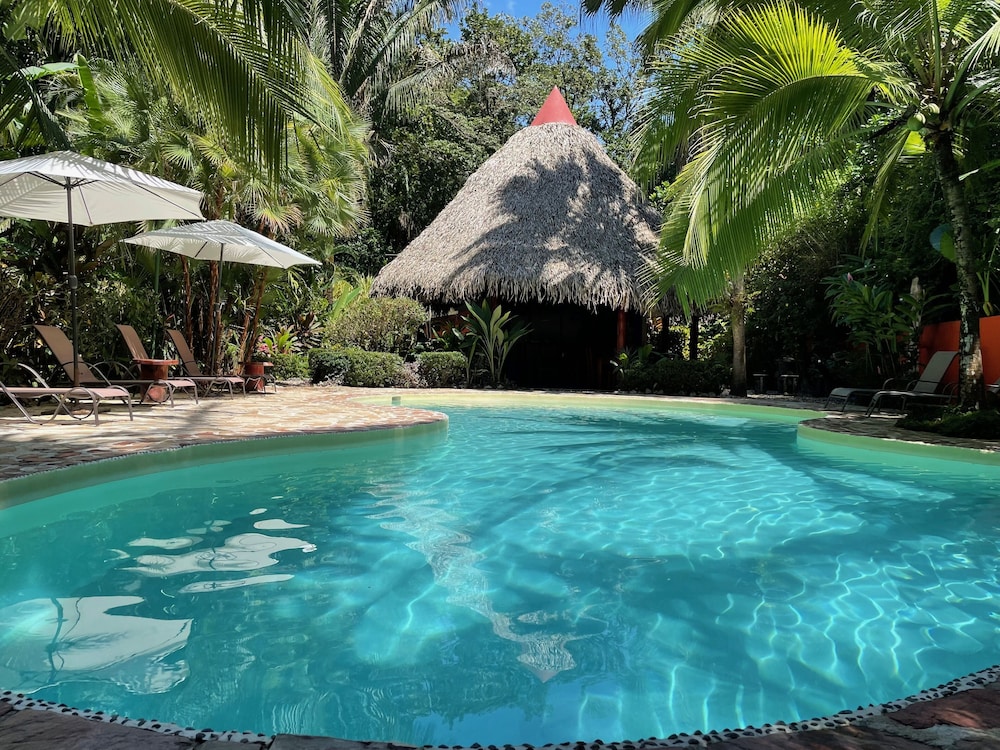 Guanacaste - Costa Rica Vacations - Hotel El Pequeno Gecko Verde - Property Image 1