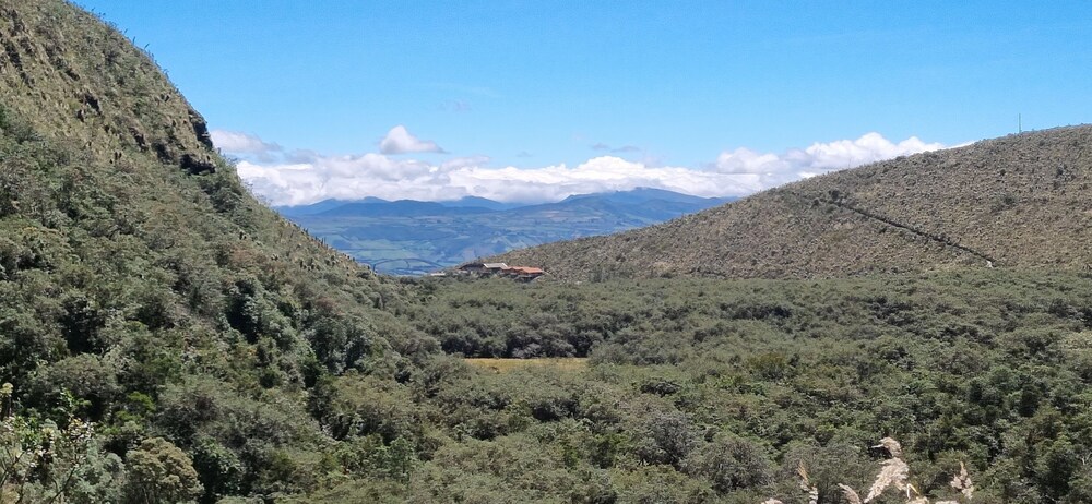 Espeletia Lodge