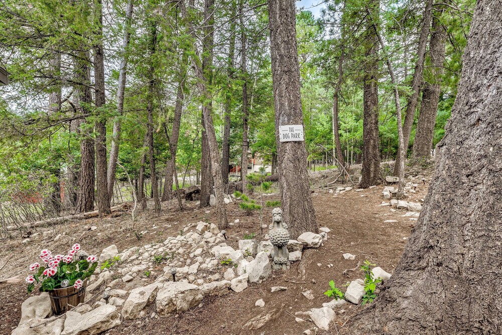 Peaceful Cloudcroft Vacation Rental: Walk to Shops - Property Image 4