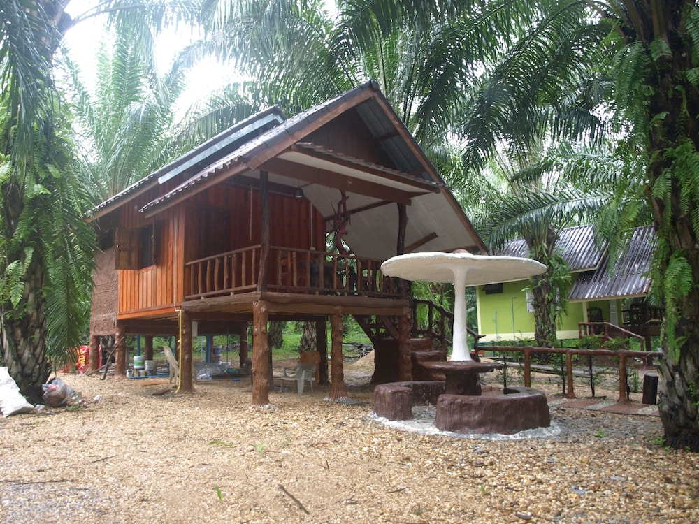 Khaosok Palmview
