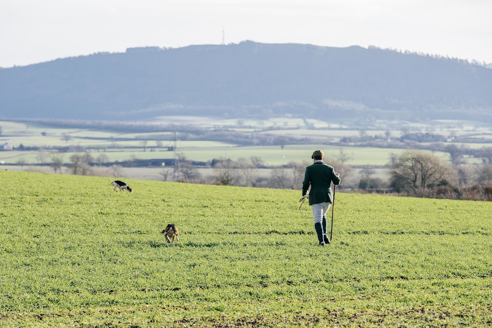The Haughmond