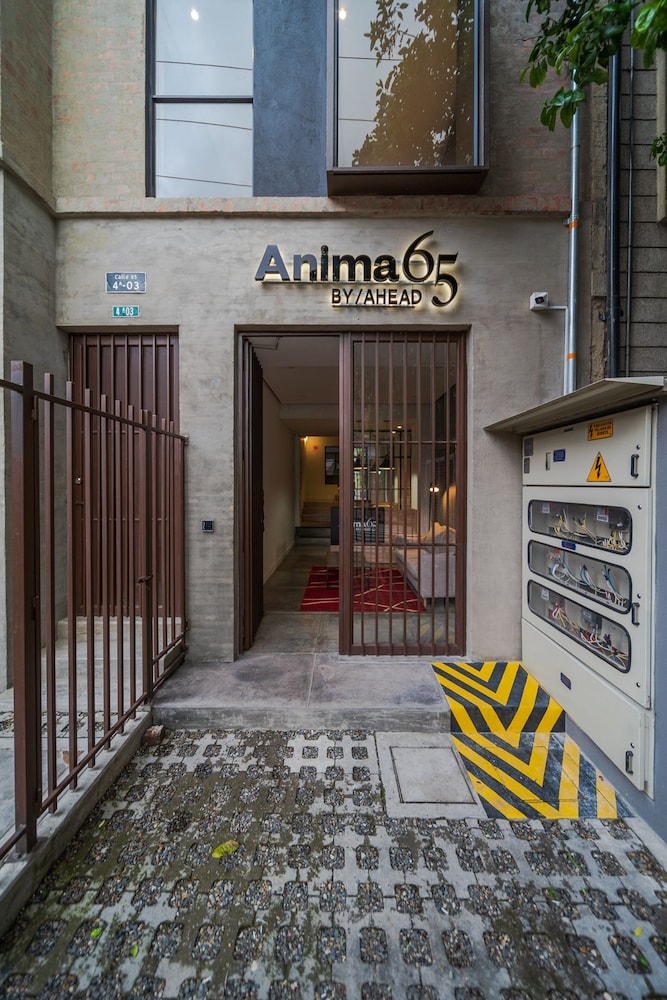 Anima 65