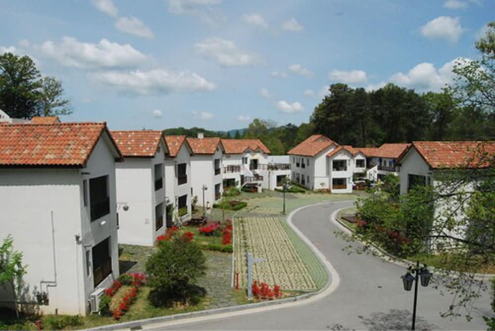 Damyang Meta Pension