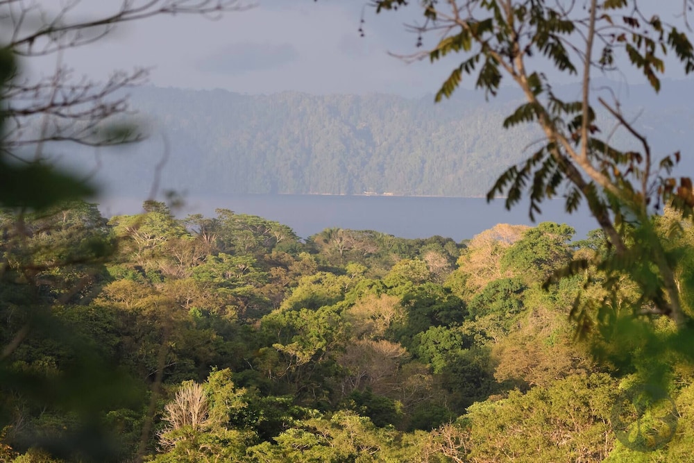 Villa Bruno - Terrace - Jungle - Birdwatching