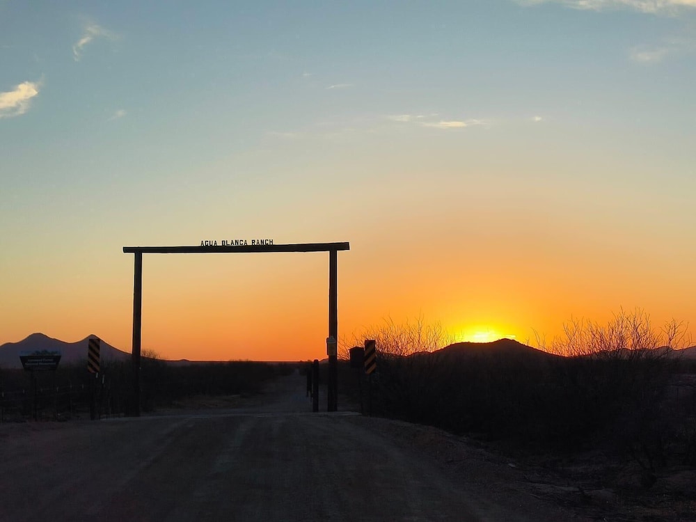SaguaroGlamp