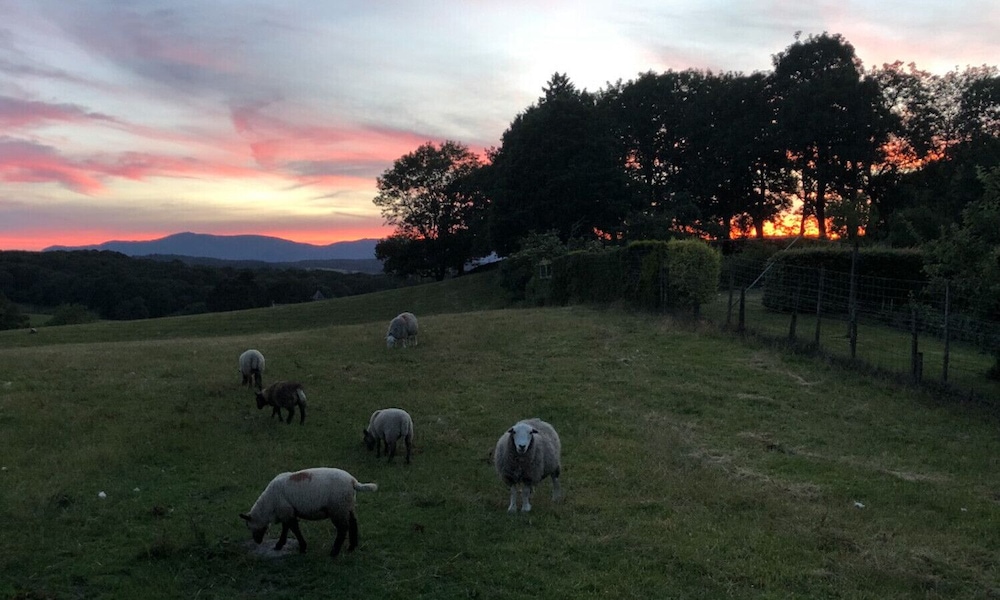Hawkrigg Farm