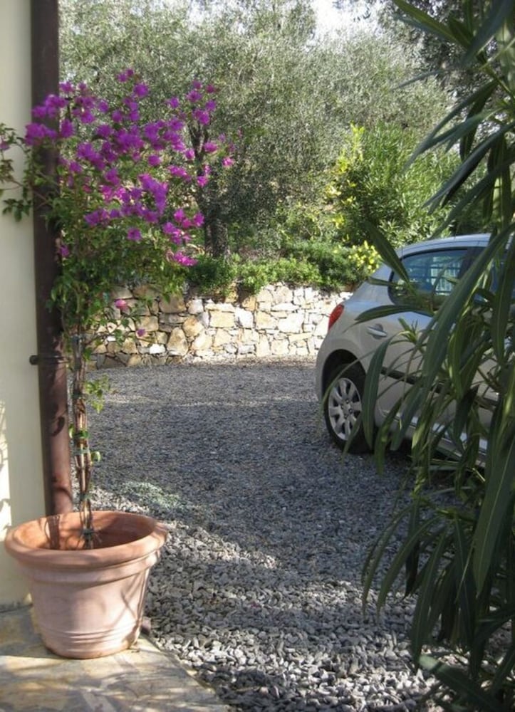 Photo 26
