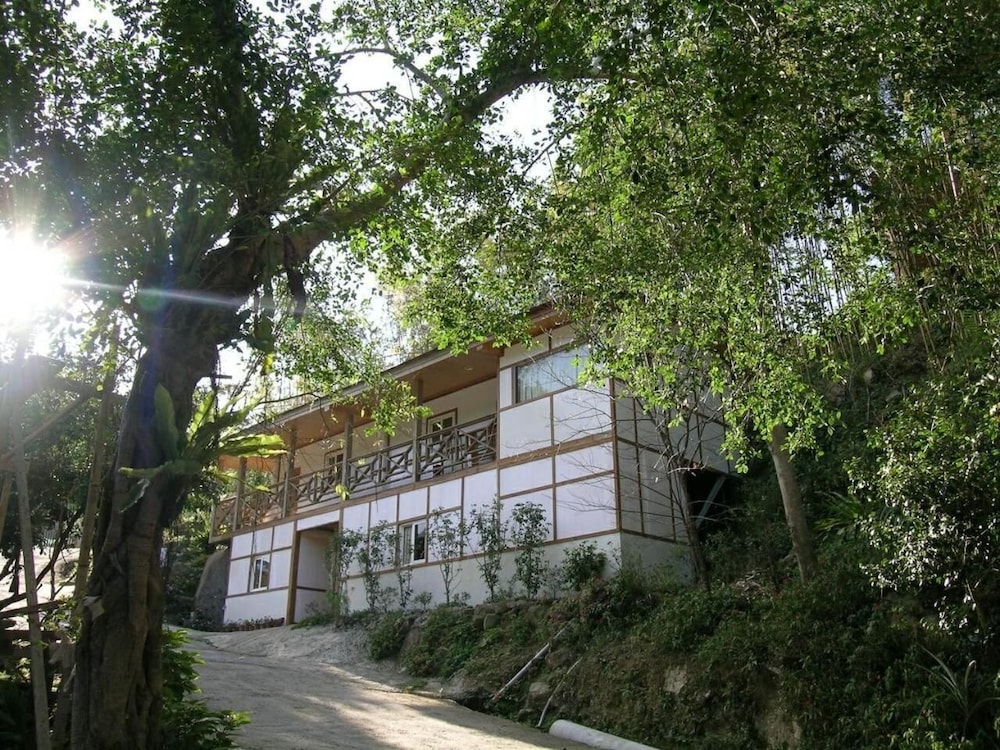 Photo 20