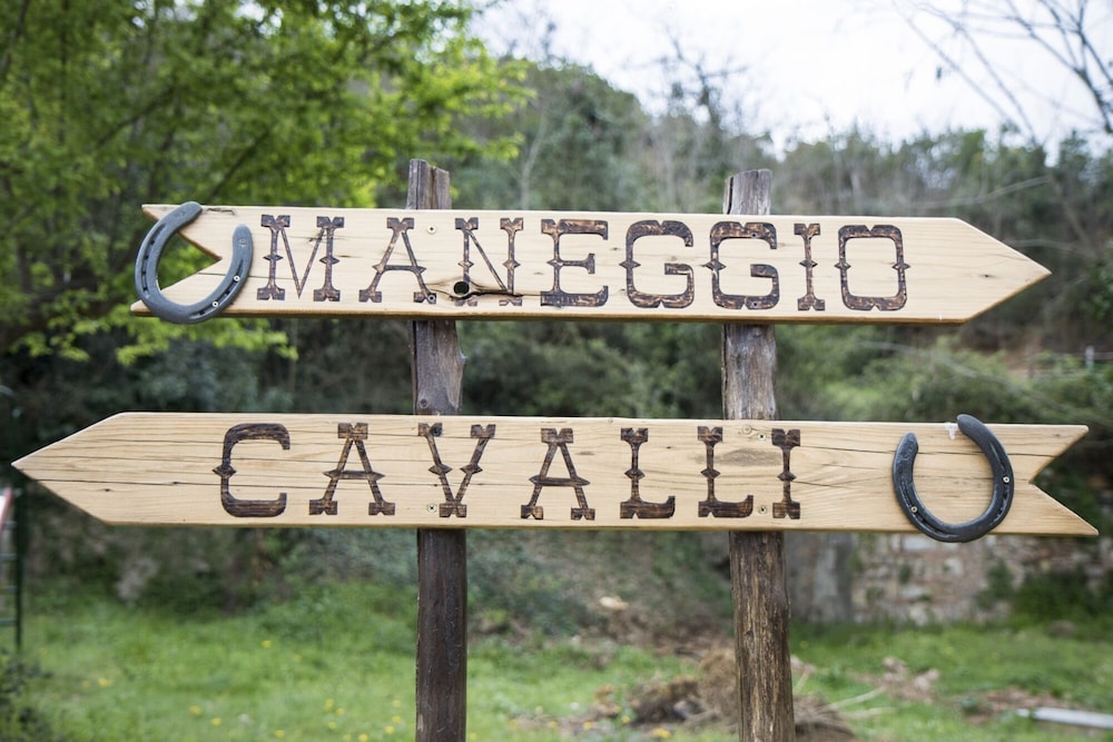 Rustic Tuscan Style Apartment view 2