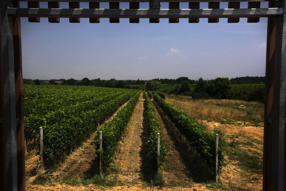 Eco Bio Agriturismo La Bella Vite