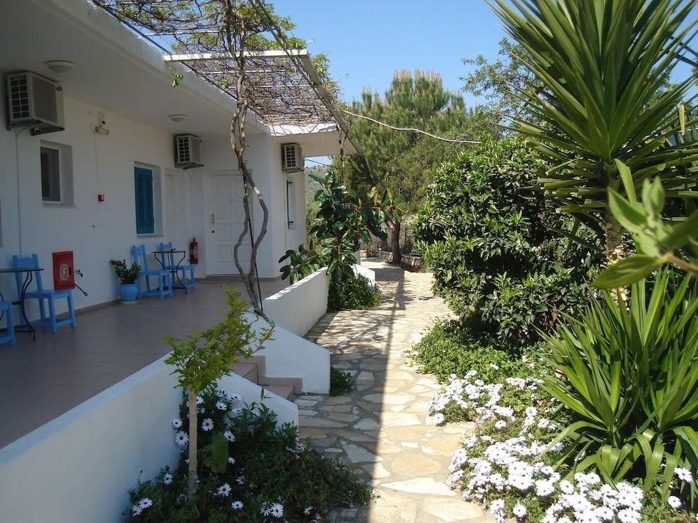 Photo 8
