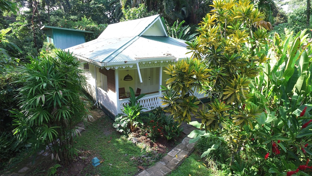 Hotel Playa Negra Guesthouse - Image 1