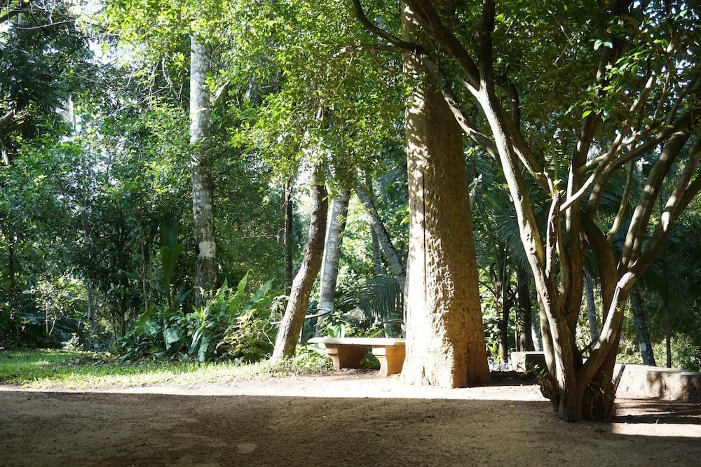Photo 44