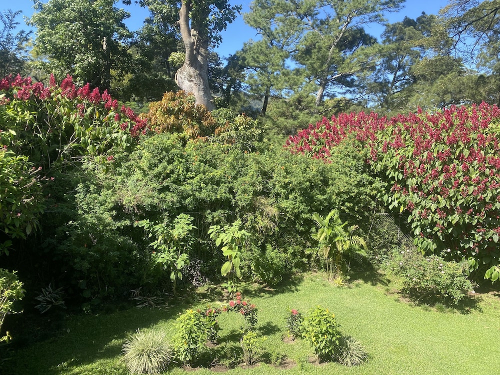 Tierra Magica B&B and Art Studio