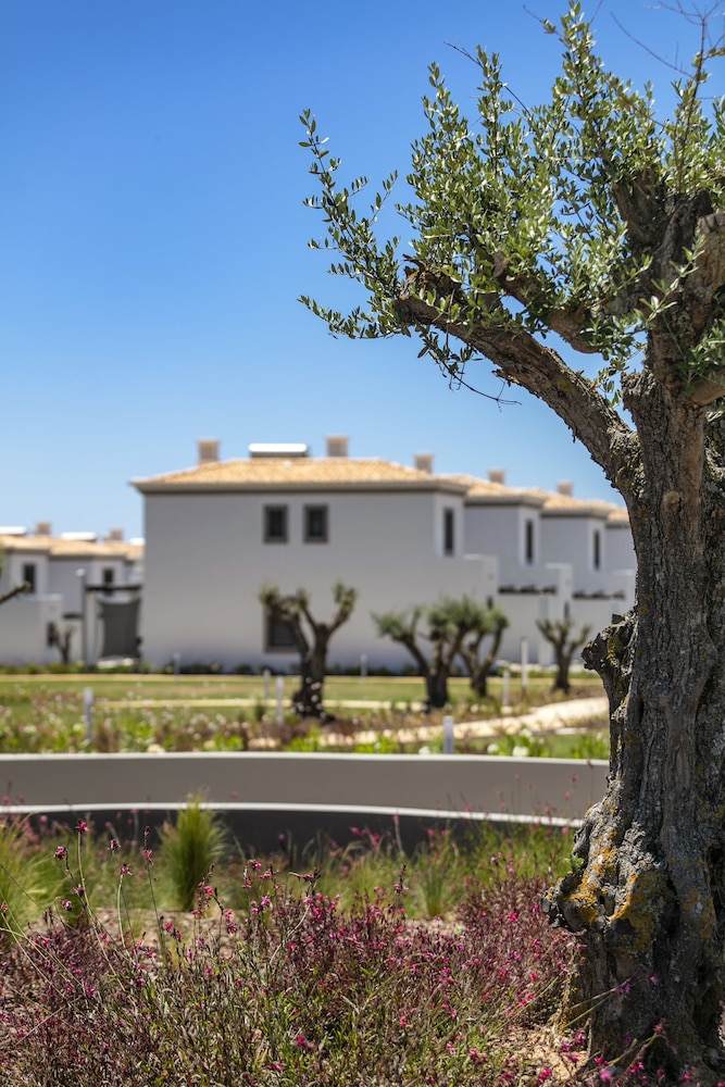 Quinta do Algarvio, photo 51