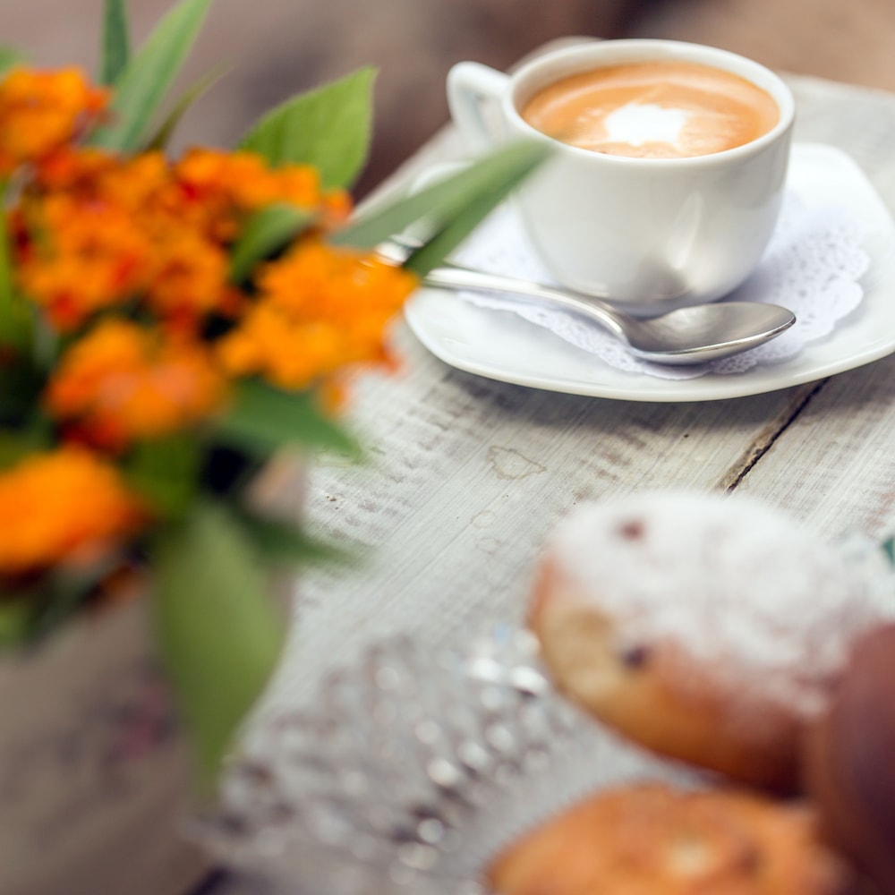 Isla Holbox Vacations - Ser Casasandra Boutique Hotel - Property Image 136