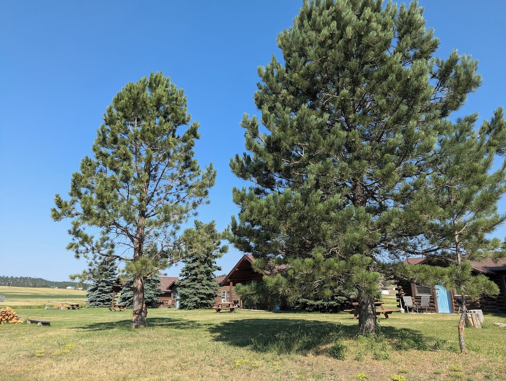 Gold Camp Cabins
