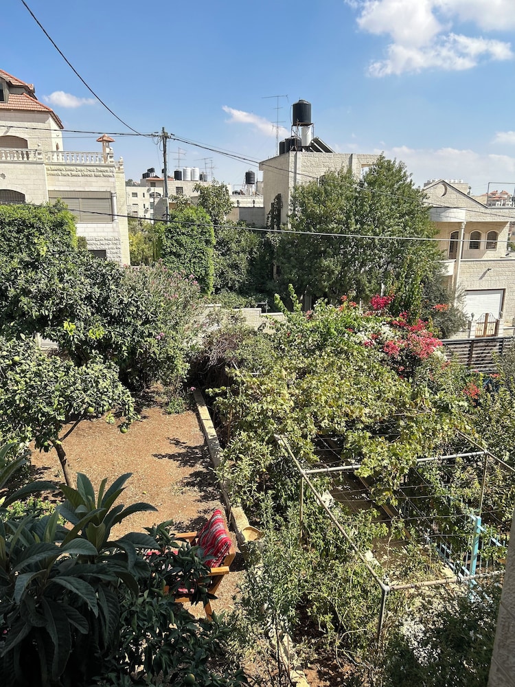 OliveTreeHostel