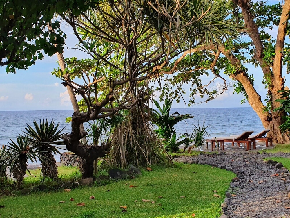 Ciliks Beach Garden