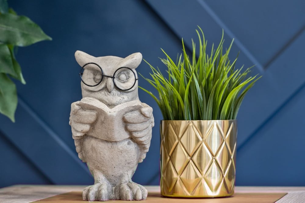 The Owl Petsok 3 Queenbd Firepit 3smarttvs