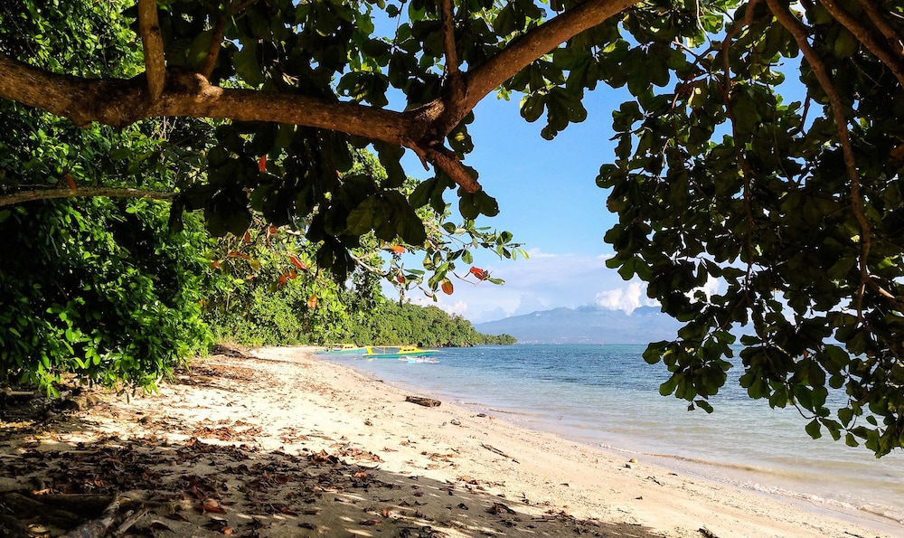 Panorama Backpackers 29
