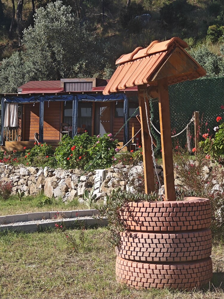 Photo 13