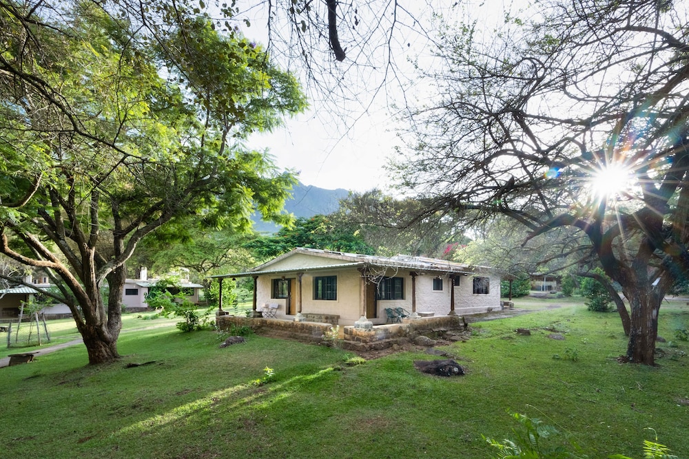 Jungle Hut Resorts