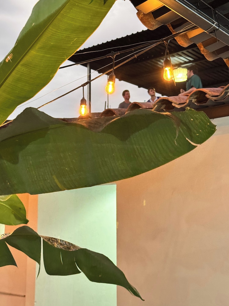 Urban Nest Hostel