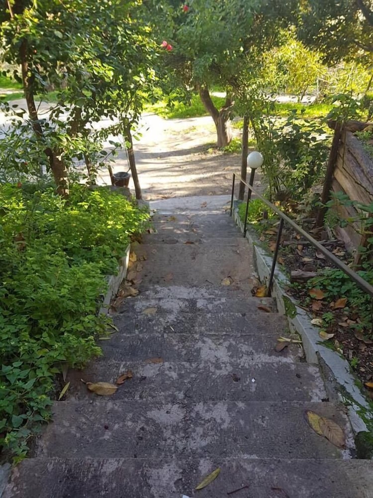 Photo 31