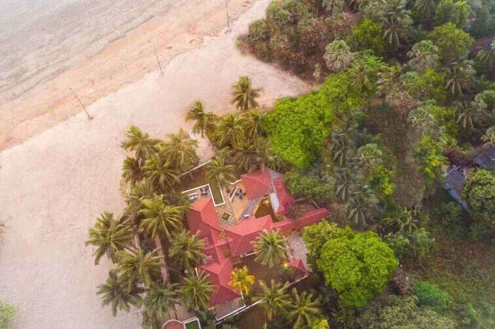 Photo 8