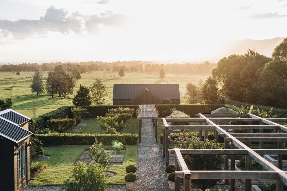 Linnaeus Farm Berry - by Linnaeus Collection