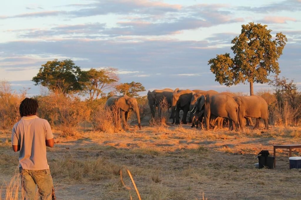 Elephant's Eye, Hwange