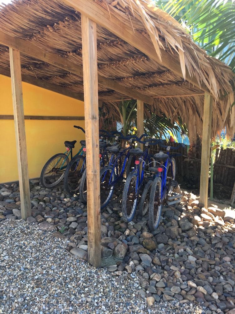 Blue Parrot Beach House