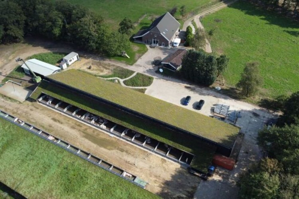 Farmhouse in De Heurne With Animal Farm, photo 24
