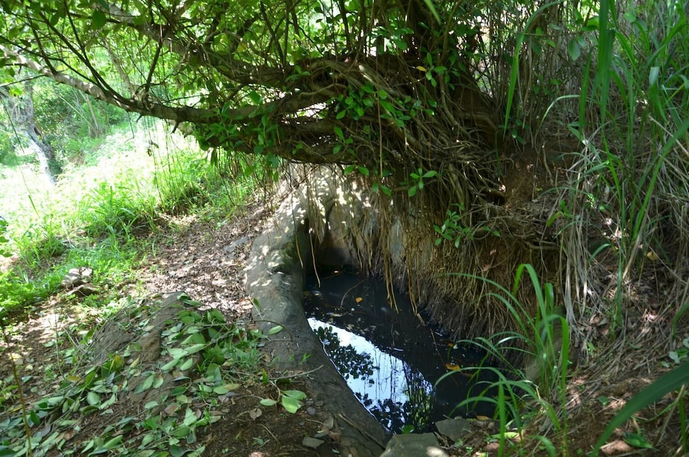 Photo 40