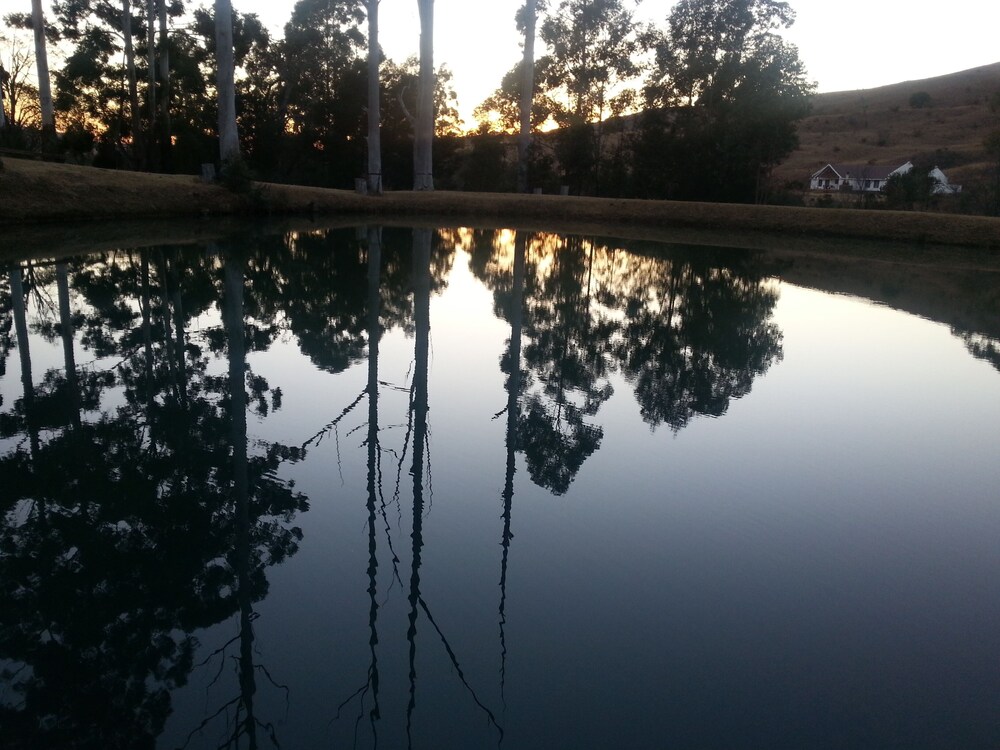 Photo 29