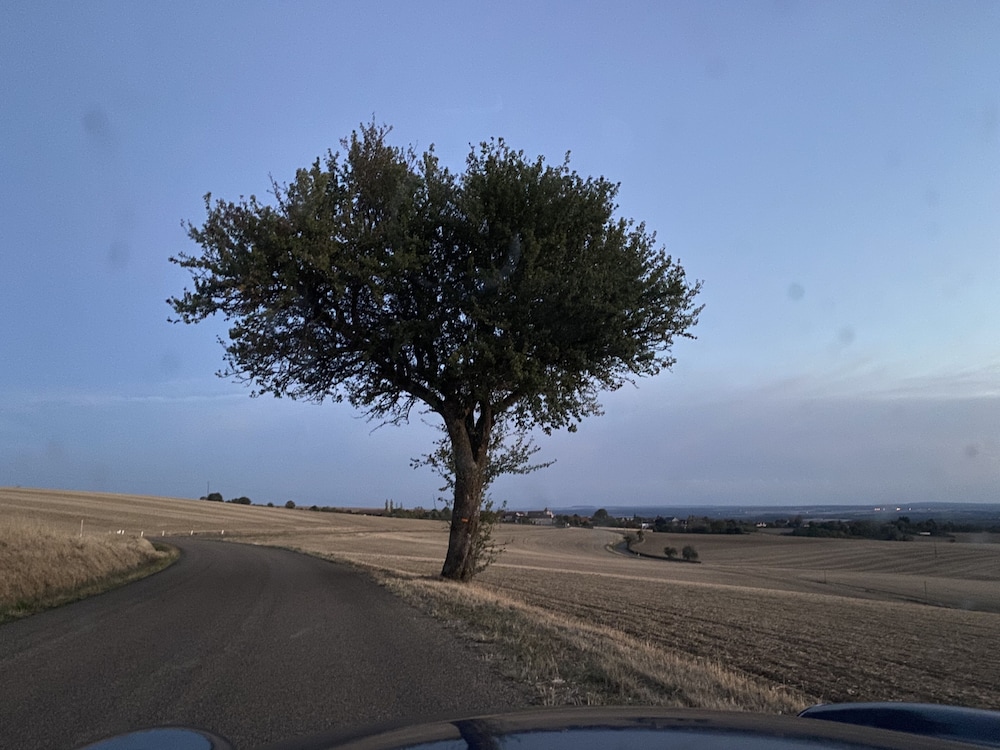 Photo 35
