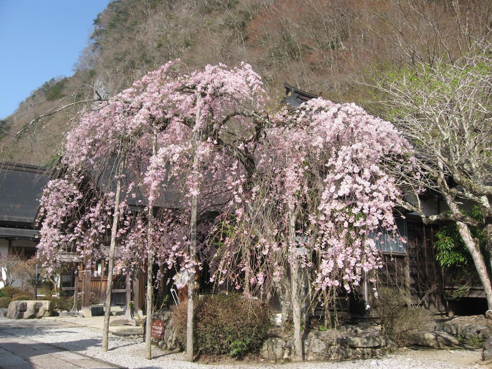 Photo 20