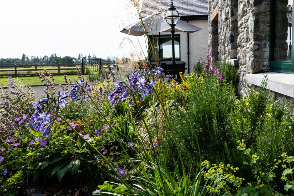 Luxury Castle Lodge view 5