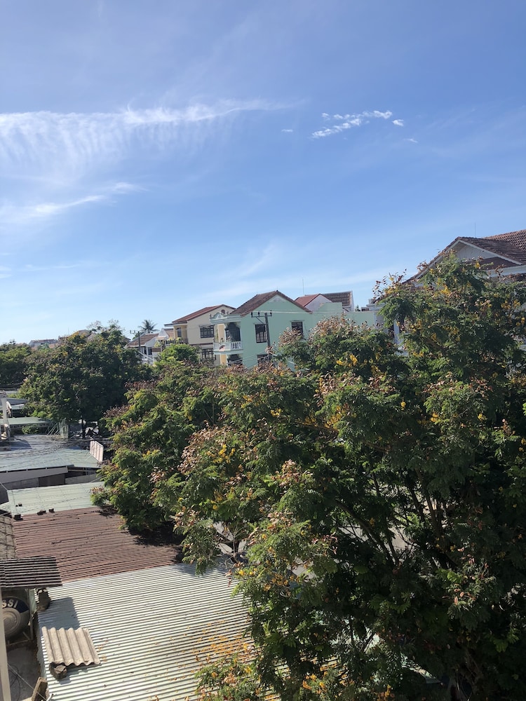 Three Palms Homestay