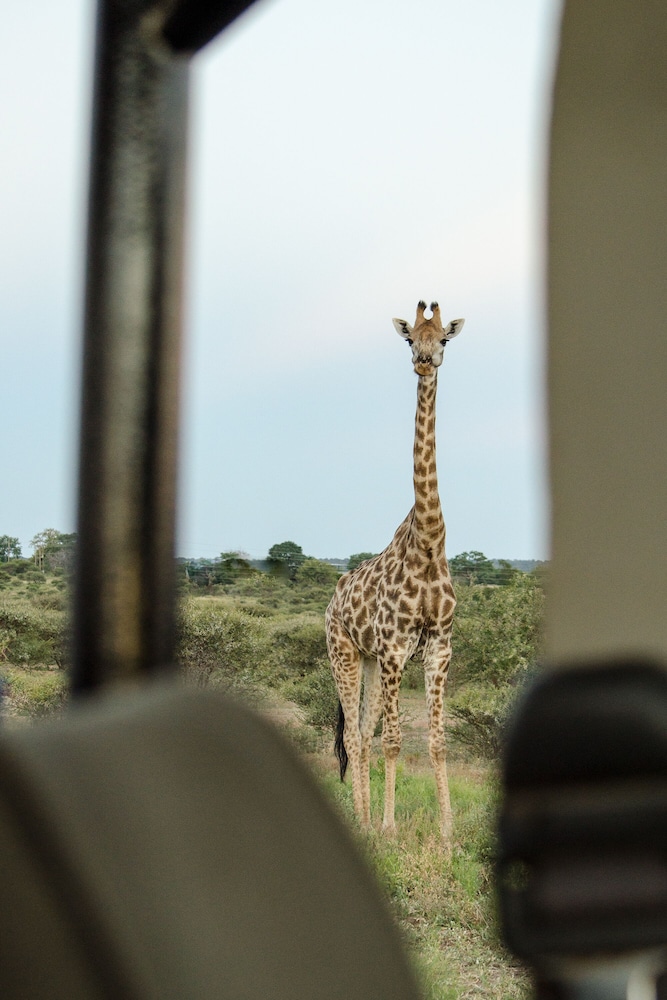 Elandela Private Game Reserve & Luxury Lodge