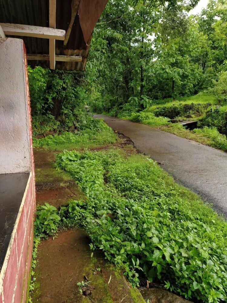 Green Breeze Resort