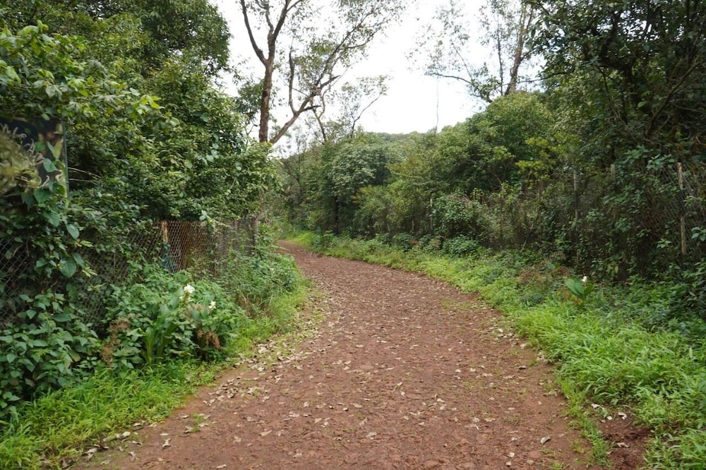 Photo 27