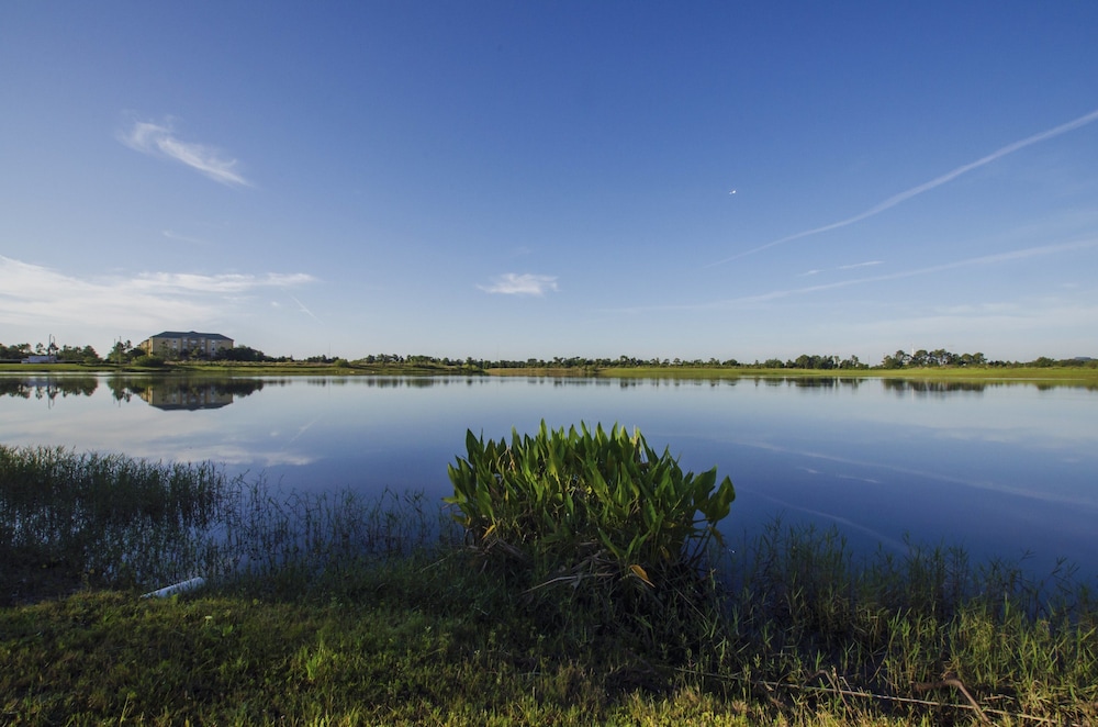 A Perfect Home for Your Family or Business! Just Steps From Convention Center 3br/3b #3vc024